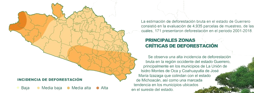 captura de pantalla 2025 10 09 155309 removebg preview