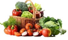 vs removebg preview (1) vs removebg preview (1)